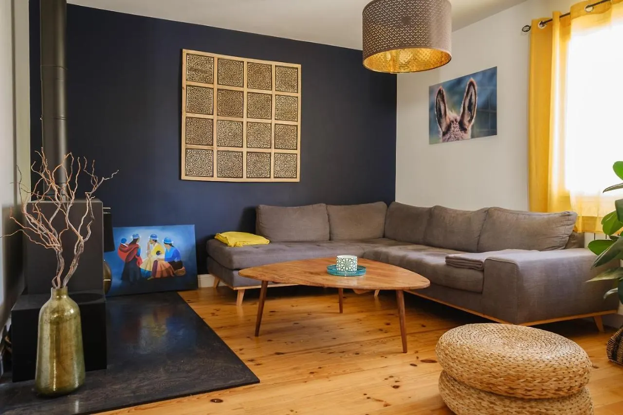 Maison Tout Confort Avec Piscine Albi Holiday home