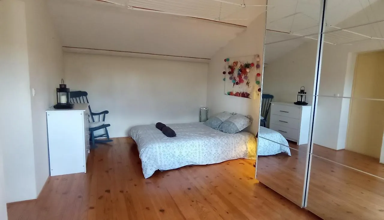 Maison Tout Confort Avec Piscine Albi 0*,